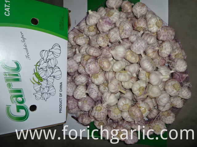 Normal White Garlic Jinxiang 2019